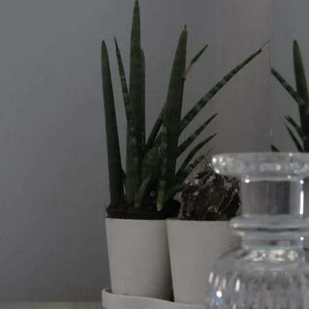 Sul Mare 3* Diamante