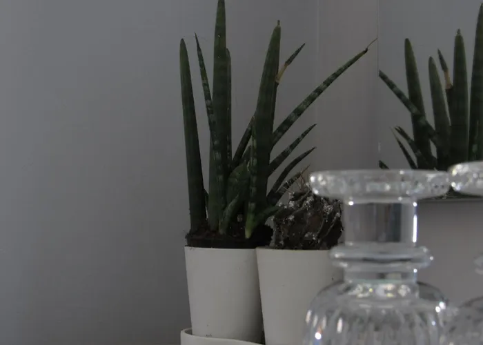 Sul Mare 3* דיאמנטה